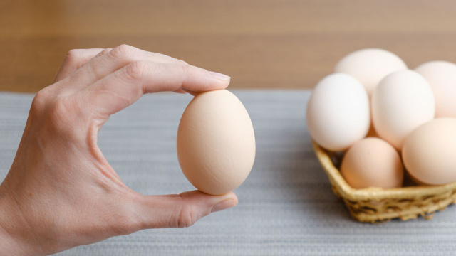 Um ovo por dia costuma ser a recomendação geral para pessoas saudáveis (Créditos: Shutterstock)