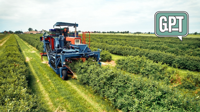 Nem trator, nem mão humana: nova tendência com IA revoluciona a agricultura no Brasil em 2025