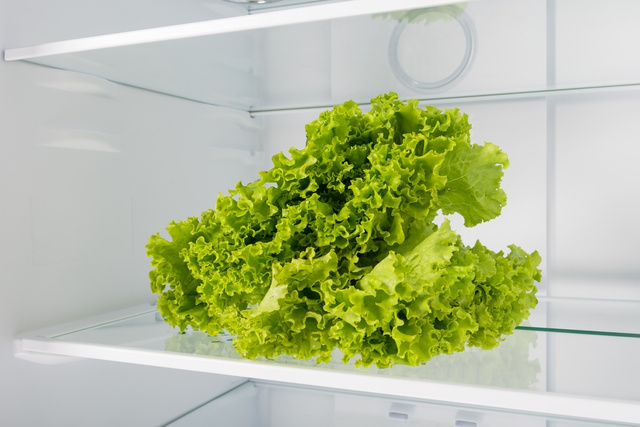 Um truque de chef para manter a alface fresca por mais de 60 dias sem complicar sua vida