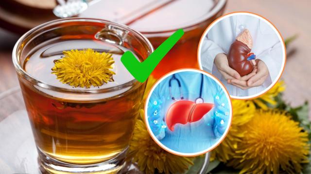 Poucas pessoas conhecem os benefícios desse chá que ajuda a combater gordura no fígado e melhora a função renal