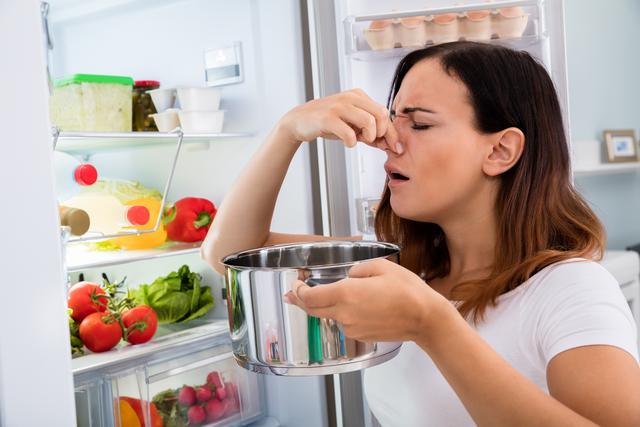 Cheirar a comida para saber se está estragada funciona mesmo? Ciência diz que não! Descubra agora como identificar!