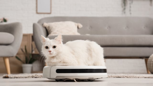 Quem sofre com pelos de cães e gatos pela casa precisa conhecer estes aspiradores de pó