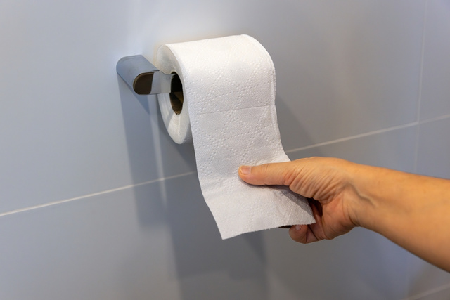 Adeus ao papel higiênico: as novas alternativas mais limpas, baratas e ecológicas