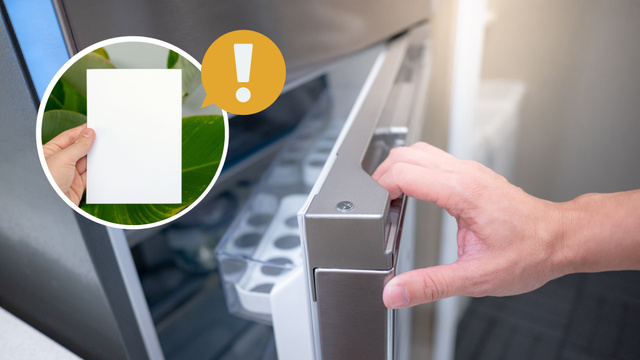 Especialista em geladeiras ensina truque com folha de papel para descobrir se está na hora de trocar uma importante peça do eletrodoméstico
