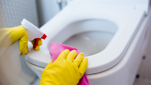 4 passos importantes para garantir uma limpeza eficaz do vaso sanitário
