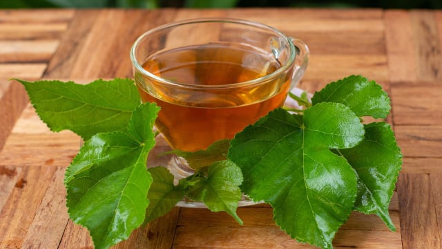 As folhas de amora, normalmente, são utilizadas no preparo de infusões simples (Créditos: Shutterstock)