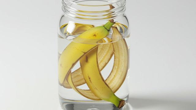 Se você tem cascas de banana, não as jogue fora: por que recomendam colocá-las em um pote com água