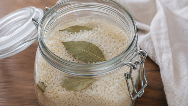 Por que nossas avós colocavam uma folha de louro no pote de arroz? O truque antigo que atravessa gerações e o TudoGostoso explica