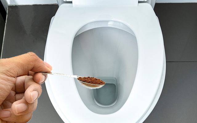 Basta uma colher: por que cada vez mais pessoas estão colocando borra de café no vaso sanitário