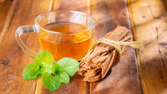 Para que serve o chá de unha-de-gato? Bebida pouco conhecida tem benefícios incríveis para a saúde