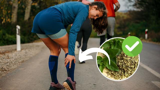 A erva aromática queridinha dos atletas que ajuda a evitar cãibras, gerar colágeno e prevenir a artrite