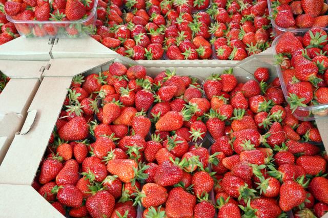 Nem geladeira, nem fruteira: esse é o lugar ideal para armazenar morangos para que a fruta não apodreça