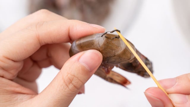 Afinal, pode ou não pode comer as linhas escuras que tem no camarão? TudoGostoso revela a resposta e você vai se surpreender!
