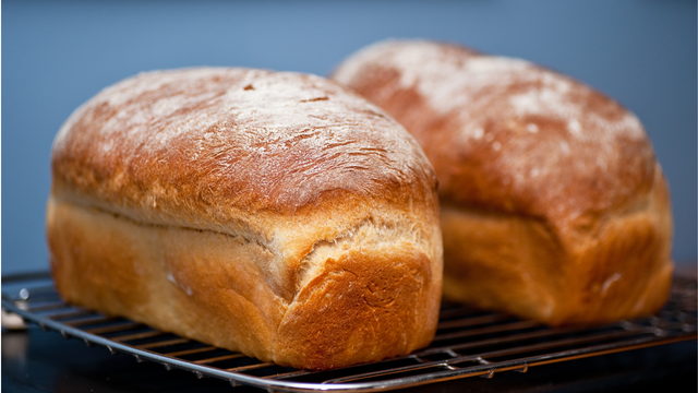 Coloque todos os ingredientes em uma tigela, amasse, espere e leve ao forno: fazer pão pode ser muito fácil!