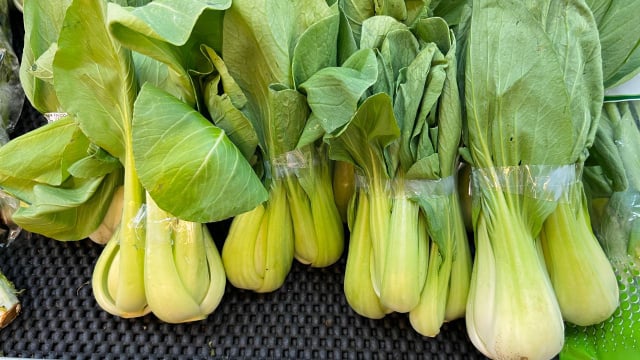 Para maiores de 60 anos: o vegetal recomendado, rico em cálcio e vitamina K