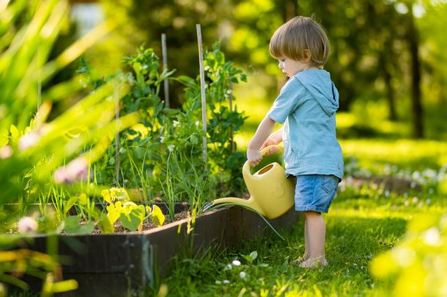 Esses são os melhores truques de jardineiros para evitar a queda prematura das folhas em suas plantas