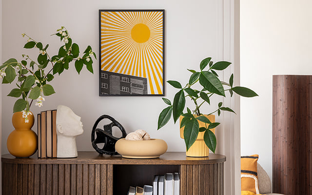 A decoração da minha casa mudou completamente depois que aprendi as plantas certas para ter dentro dela!