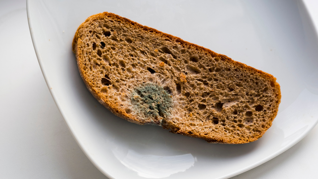 Existe um lugar na cozinha que com certeza vai estragar o pão: "O pão não deve, de jeito nenhum, ser armazenado em..."