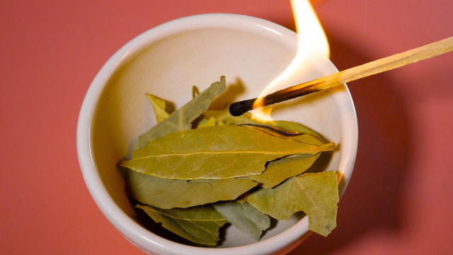 Para que serve queimar folha de louro? O truque antigo que minha avó me ensinou vai transformar sua casa