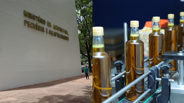 Ministério da Agricultura apreende 6 mil garradas de azeite de oliva adulteradas; saiba como identificar se o produto é falsificado