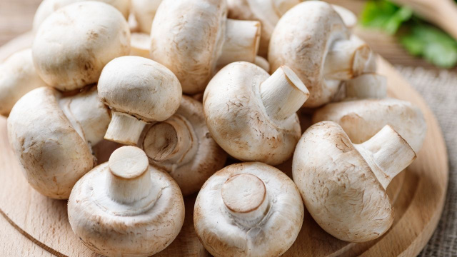 Nem cozidos, nem salteados: é assim que se cozinha cogumelos para manter sabor e textura