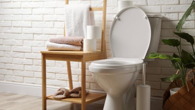 Veja por que você deve fechar a tampa do vaso sanitário antes de dar descarga, especialmente se o banheiro for compartilhado com outras pessoas