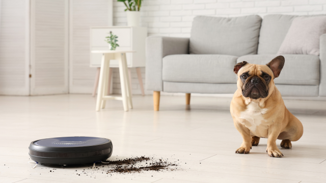 Cansou de perder tempo varrendo e limpando a casa? Tenha um robô aspirador para facilitar sua vida em 2025