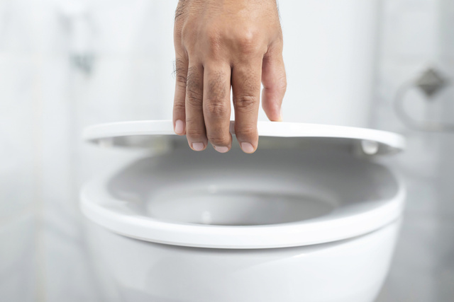 Pouquíssimas pessoas sabem, mas aprendi na faculdade: é muito importante baixar a tampa do vaso antes de dar descarga