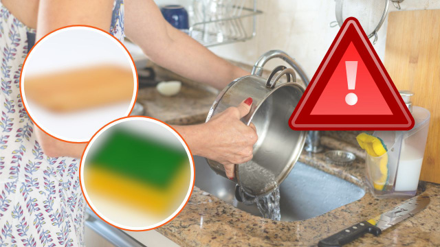 Esses 7 objetos de cozinha são os maiores acumuladores de fungos e bactérias que podem agredir a saúde
