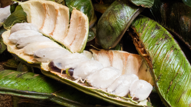A fruta que parece sobremesa: nativa do Brasil, tem gosto de algodão-doce e cresce até em quintais pequenos