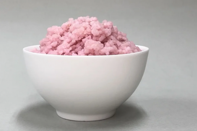A planta à base de carne pode ser considerada uma comida do futuro, segundo pesquisadores (Créditos: Divulgação Yonsei University)