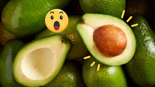 Abacates frescos por três meses com esse truque simples: para dar certo, o abacate precisa estar macio e maduro
