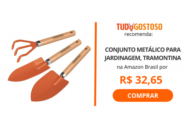 Horta em casa: Veja 5 itens para ter uma horta interna e cultivar seus próprios temperos