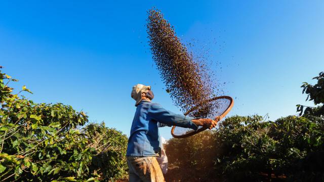 Tour do café: viaje por cinco estados do Brasil e conheça os diversos cultivos do grão