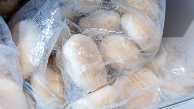 Beatriz González, nutricionista: "Você congela o pão e descongela quando come? Está alimentando as bactérias do seu intestino..."