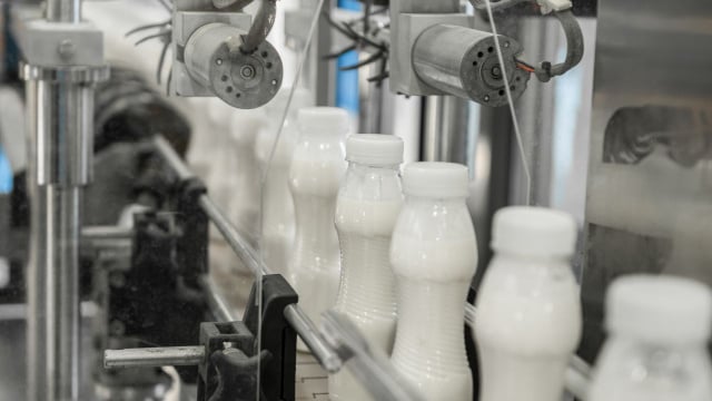 Soda cáustica e água oxigenada no leite: essas são as marcas adulteradas alvo da operação do Ministério Público