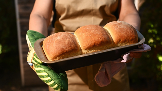 Pão caseiro sem sovar é uma das receitas mais fáceis que existem e você precisa fazer o quanto antes!