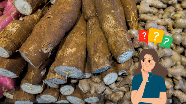 Como escolher mandioca: 8 dicas para nunca mais comprar aipim estragado ou passado