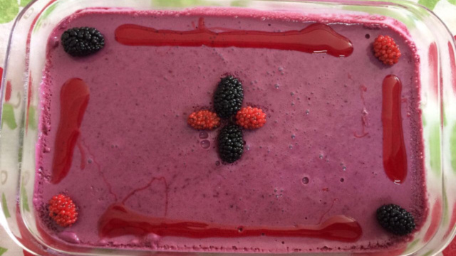 Todo mundo vai amar essa mousse cremosa de amora (Créditos: TudoGostoso)