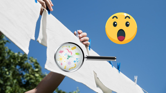 Se você lava o pano de prato desse jeito, ele vai continuar cheio de micróbios: veja como fazer higienização correta e evitar problemas