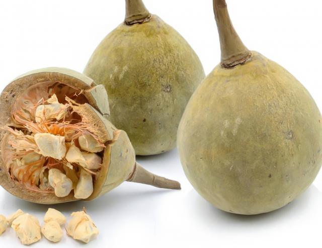 Mucua é o fruto do baobá (foto: Shutterstock)