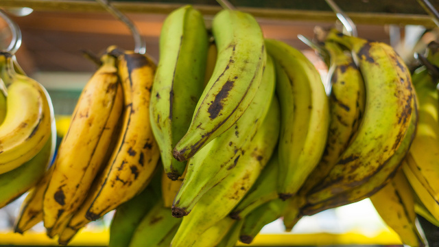 Banana verde, amarela ou com manchas marrons: qual estágio é mais saudável para o seu intestino e para a glicemia?