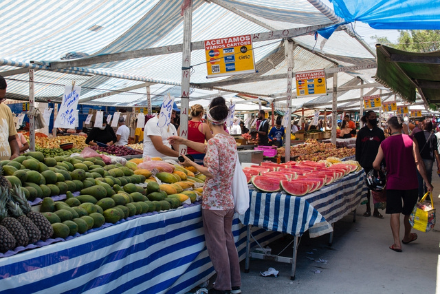 Pare de jogar dinheiro fora na feira sem saber como escolher frutas e legumes! Aprenda as dicas práticas