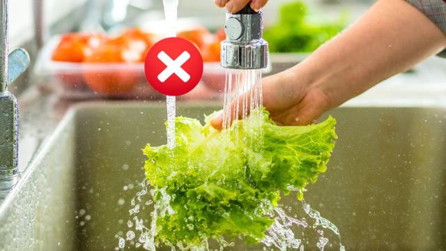 Não é só lavar em água corrente: aprenda de uma vez por todas como higienizar vegetais do jeito certo!