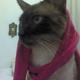 Avatar de Ana Claudia Camargo