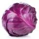 repolho roxo
