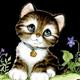 Avatar de cris