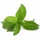 adoçante stevia