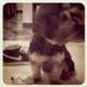 Avatar de Talita
