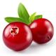 cranberry